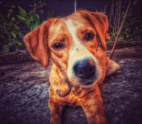 Item #73619659453747514516542980758534105595316602509498836890465073152444134850561 Media