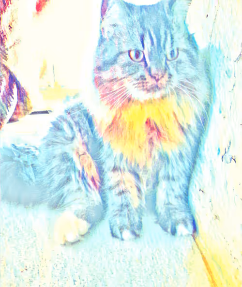 Item #29510731910910609866946623002702956419421614825625903317173568056058145931265 Media