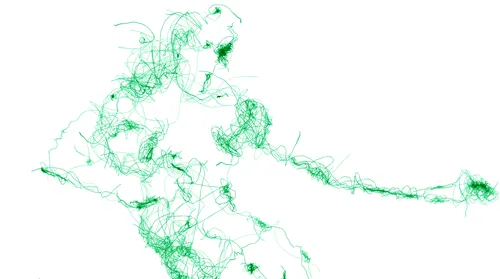 Item #61325321852403075905478544962925694605424995420085629148883383677521621942277 Media