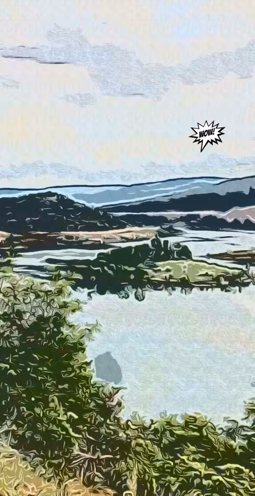 Item #24974641549430741065219961291624299513689531374559477323209544255375411249153 Media