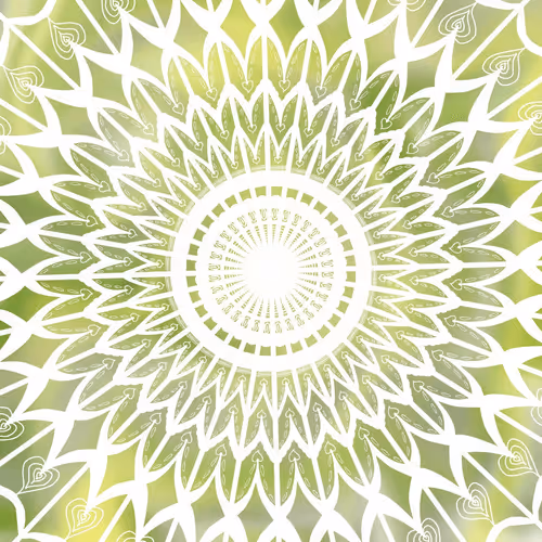 Item #37932971805242255218122101162689202097237844807120059679213645169971121094657 Media