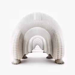 20465790016461110886815958048971507208127989147374131522327960754790063931393