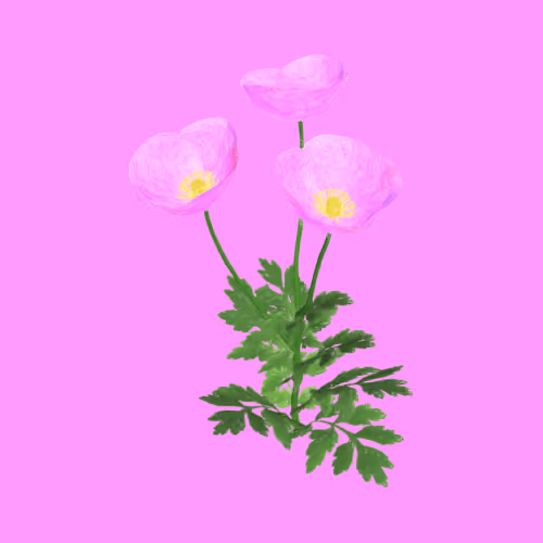 Item #11345277294321805490950982682706921649721953038596019142075108514779247935489 Media