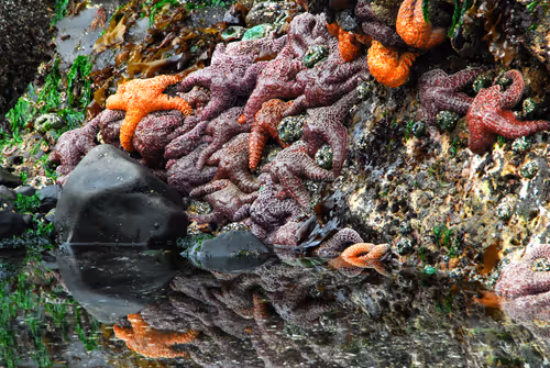 Item #16169064393399629467859942900905405490006492366557123064973208592218488569857 Media