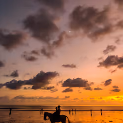 Life by the Beach