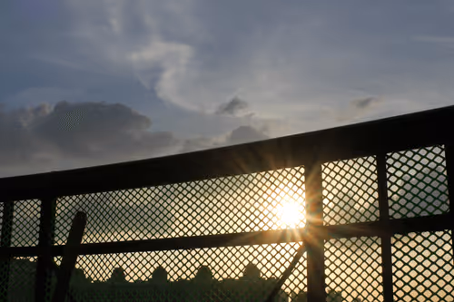 Untitled Collection #88605667