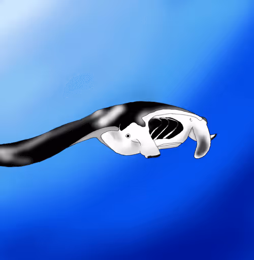 Item #1976028652343187477213533348126194211908390341740218488331024152530463490148 Media