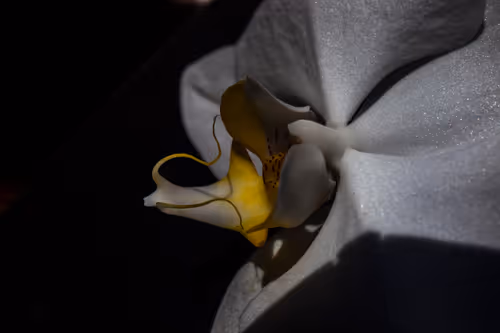 Item #9500350566049445221994743343401604042334743773013646897424930857729877082113 Media