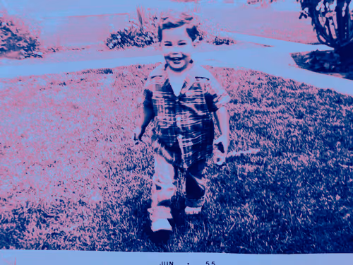 Item #12487784663316112872991520985674897236448498557666379661479517350525315056616 Media