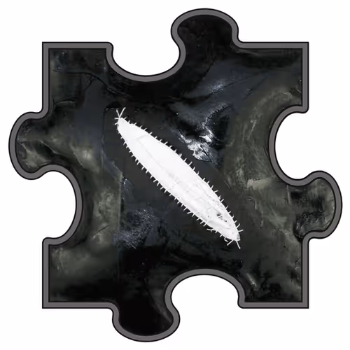 Item #55483159053478585315489603701943723215002400344089336950639374767658121560164 Media