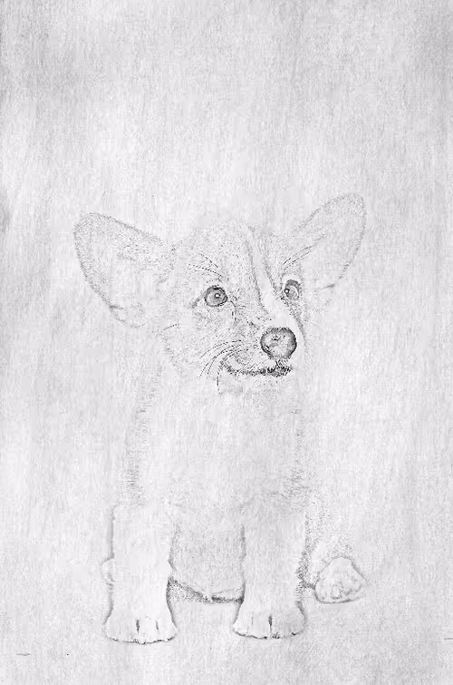 Item #104571871624713793639651805658793486494192065920849225127728493724403394150401 Media