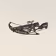 Crossbow 