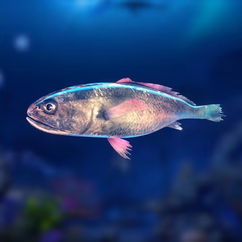 Item #83786750606513419256280086866858236619621038147804989423377146060075001970689 Media