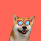 55486932398247217502661081718062696733944404853930449505537153524775377698826