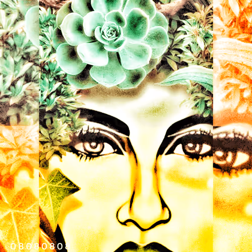 Item #79960430426561695494080117896553478252784794469094828787665606344282658798376 Media