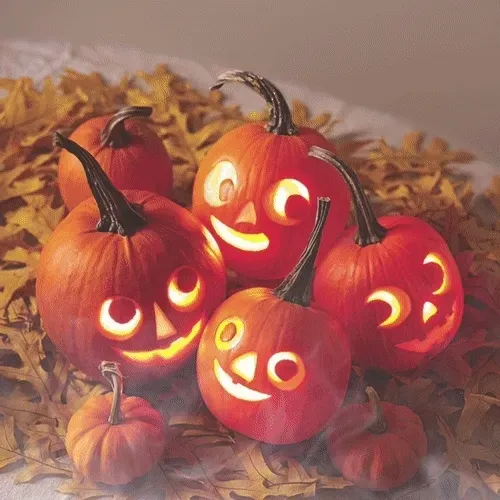 15081463501546268006596121588316872326209313817998412847676536891728038199297