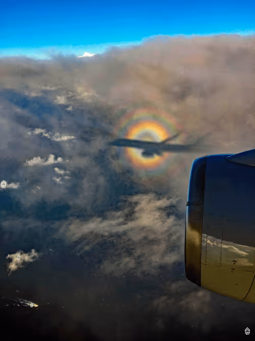 Item #110527260679406616687648876456332476743393224185300282858370831839853254017025 Media