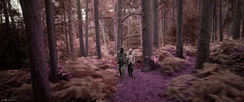 Item #22150387378501631788475428738693570001841857457091933194819051605459212435457 Media