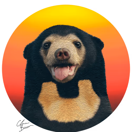 Sun bear (Helarctos malayanus) oil art