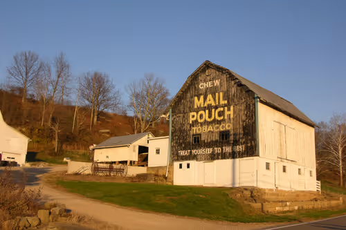 Item #91931664106156571735263247446027128189393314859416519894388302186080808992769 Media