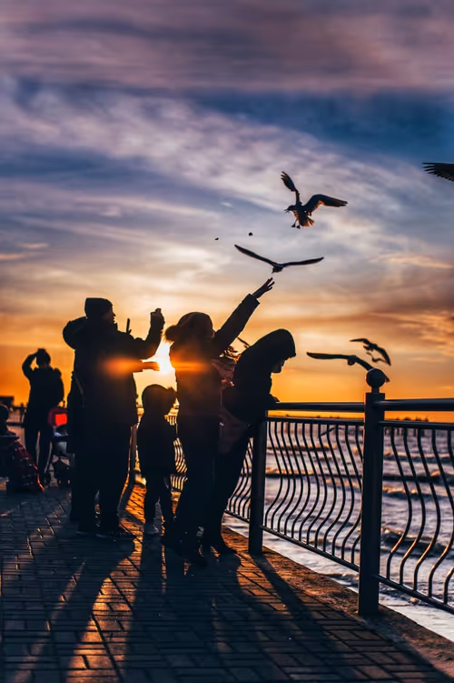 Item #35409078409667596971278228367695759788445142821081829604710600537314517057537 Media