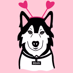 Heart Headband Bean