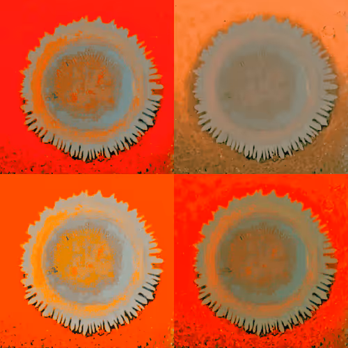 Item #4784811104091394596433299599418734801546949172415580233613544130191399321601 Media