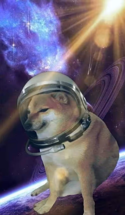 Item #95820240251845051783128031234870253454074385828708302127634343173880358633473 Media