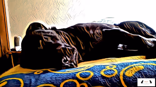 Item #10567450016853403337930259676618451783682953632793231315200837930584641634305 Media