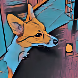 CORGI #18
