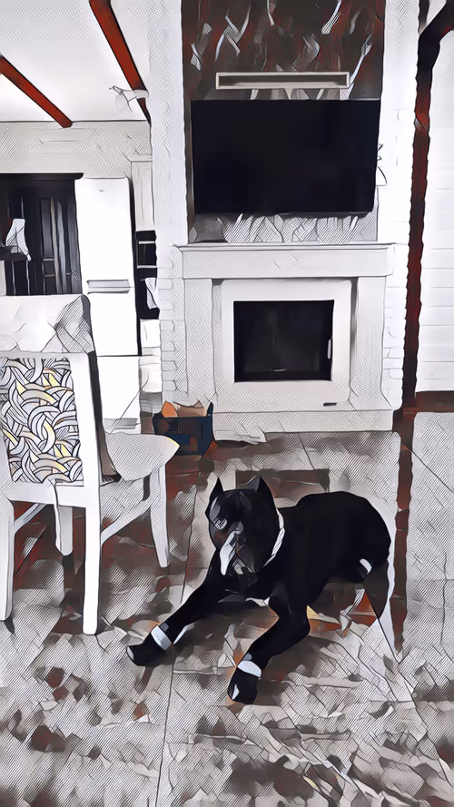 Item #37182515887132438156716547995651835477676529273037928400733563063205076402177 Media