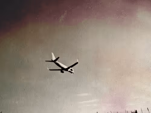 Item #36816001644917254617906175698674191035781868216999975889902342304678333644801 Media