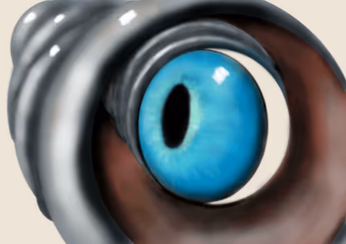 Item #20218994840825374785300390252407857383155182276225694155165314433748079476737 Media