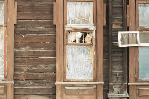 Item #34811634924862855090105769671786307071201187759740501250683185415561565700097 Media