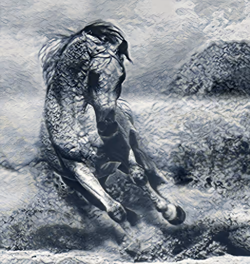 Item #94187362096385522384510381258680220469362668956655567183697808441517719683073 Media