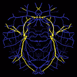 7078802064077755305879053961196844759257248211509687953083586322305948581889