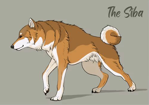 Item #14268345023035082943470818496241781613388534062258731701202849685162403299329 Media