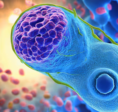 Item #15900858524274065462397165605509062893973264951757804275935713324721590239233 Media