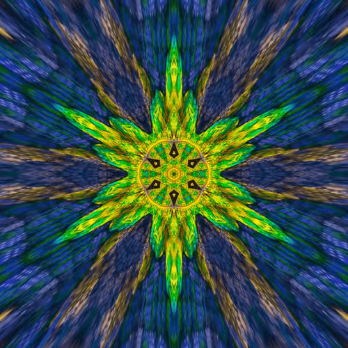 Item #47993365230904546224908061961898398429308184507692648287352000288234603020289 Media