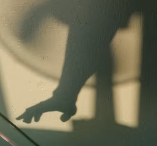 Item #112734530857144882359999642701628212224458434027144103607303888229520564551681 Media