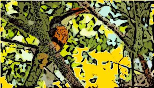 Item #80775902316794198933322065310999531752675870207141919719539670315974545899521 Media