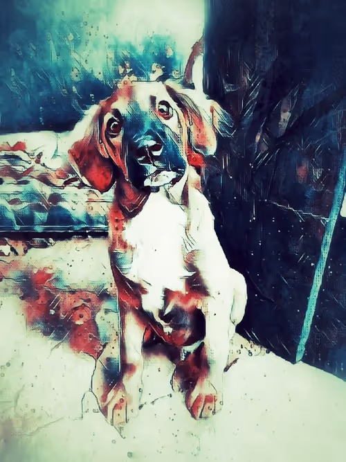 Item #109885862523976899144651734441556854765315219074328426947809034507493046222849 Media