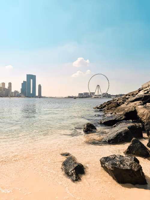 Item #112667008341302243302689137385956133130618064470449479276921417618370976546817 Media