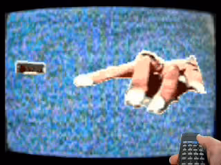 Item #36049036210915542891603514203013099125599246175484305955535372052154017644545 Media