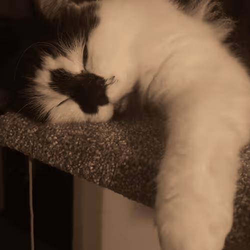 Item #13161020314009032005485822086301964352885579695205061807387255110209443463169 Media