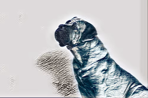 Item #54593652383459731767777383320415424164820202733853921615926635465048196120577 Media