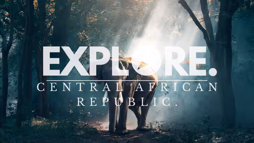 Item #55167293475857333829963200193227146355535503943447662520927477440081475665921 Media