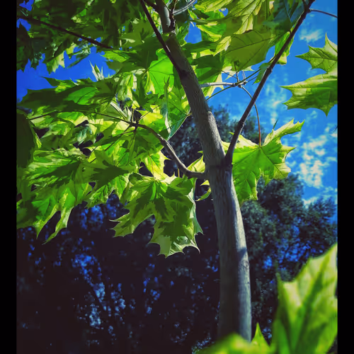 3787080761074609709675817509753112159059746763483256848434353884351361449985