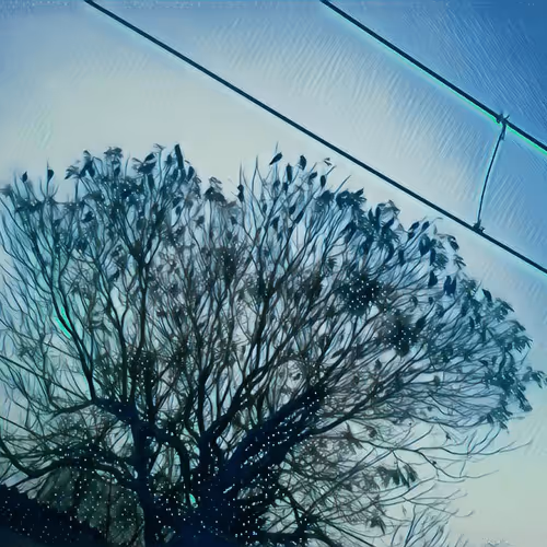 Untitled Collection #174659437