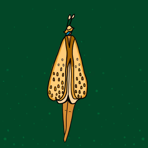 Item #90059154078306391172735519707748925421967137070875417111329823487731754336257 Media